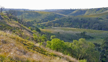 Landscape images of the Sunbury Hills region