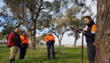 Four people in a bush setting conducting technical studies