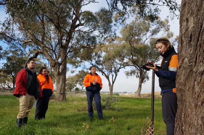 Four people in a bush setting conducting technical studies