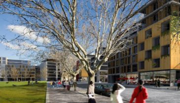 Artist representation of the potential future streetscape of the Macaulay precinct