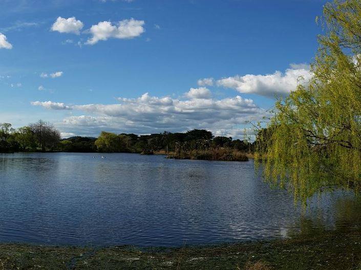 Landscape portrait of a water feature at Minta Farm