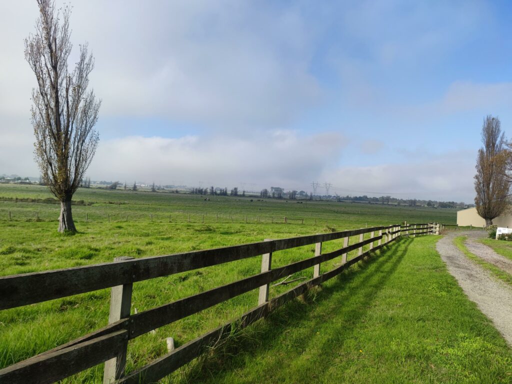 Green pastures of a rural hamlet