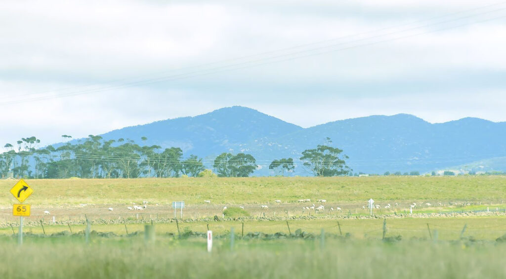 Rural landscape with the You Yangs in the distance