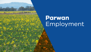 Thumbnail of Parwan Employment of a field of canola in bloom with a hill in the background - link to the project page