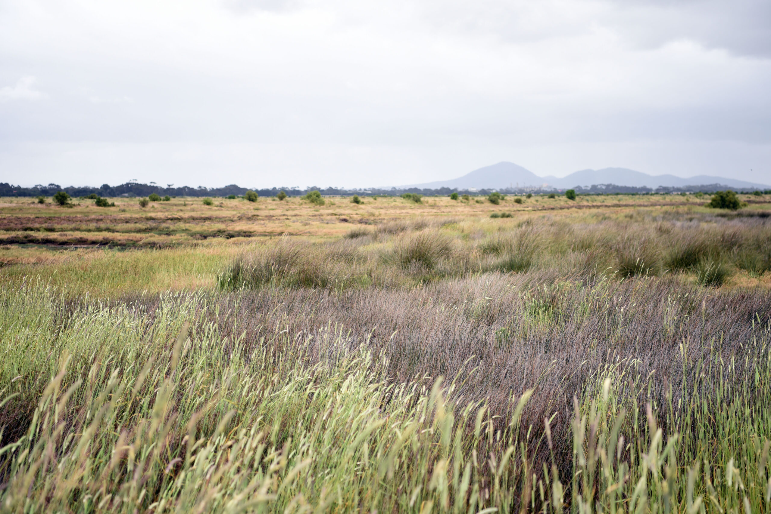 Greater Avalon EP - Looking towards the You Yangs