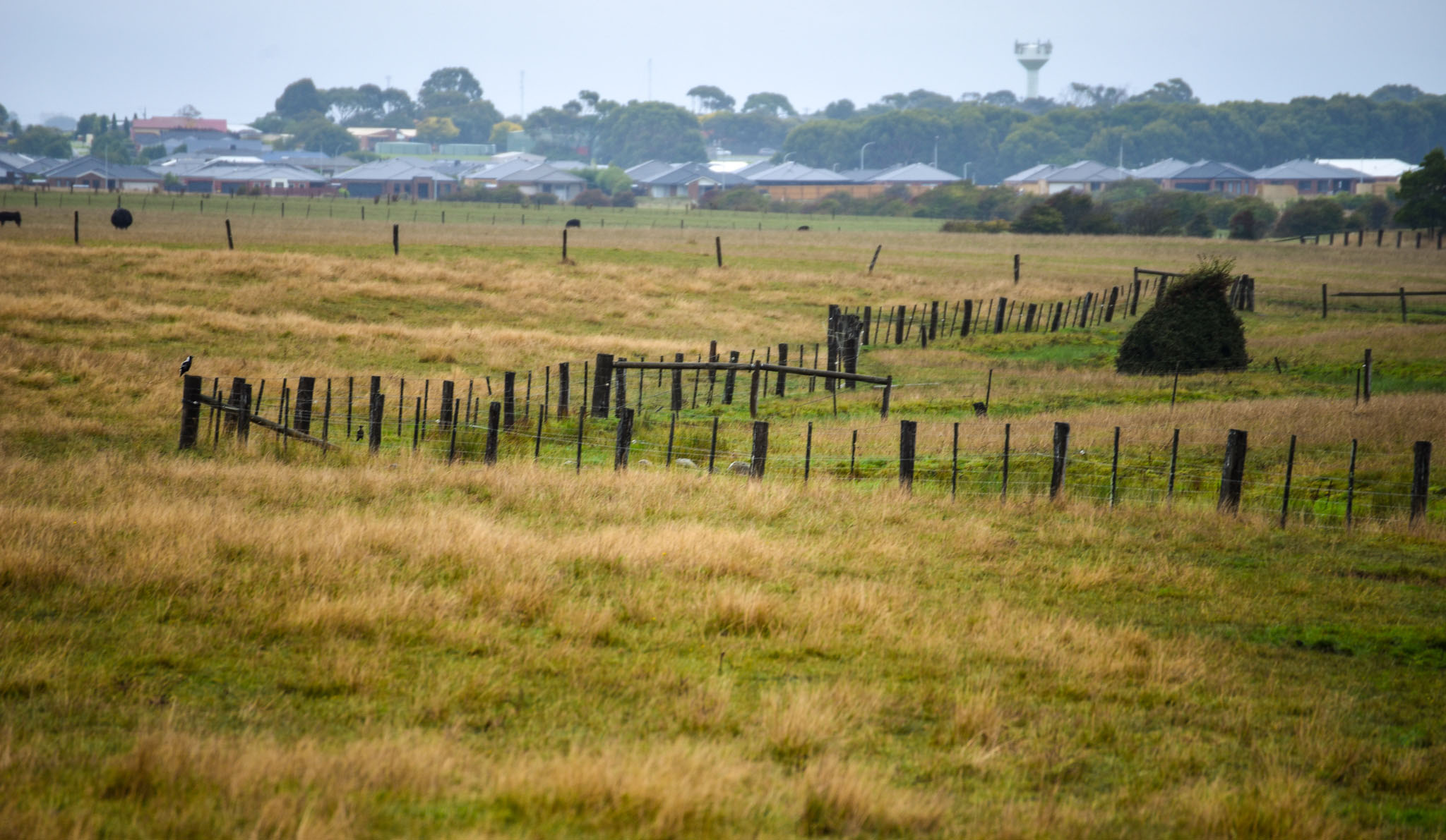 Looking west across Russell Creek towards Aberline Road